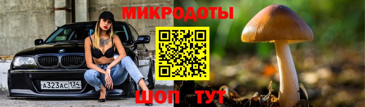 Галлюциногенные грибы Psilocybe Ревда